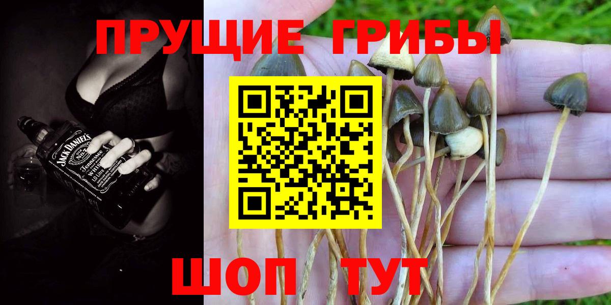 Зеленодольск  наркота  Галлюциногенные грибы прущие грибы  Вход с VPN  Галлюциногенные грибы Magic Shrooms 