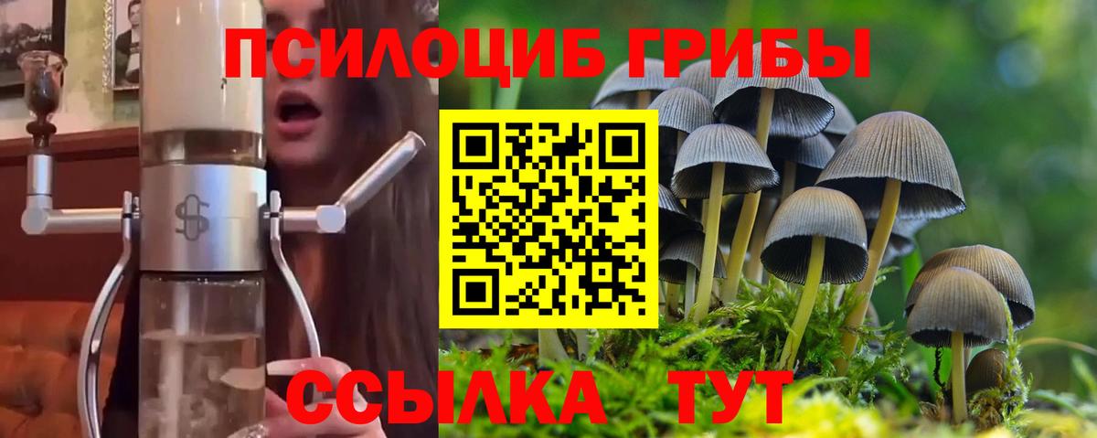 Галлюциногенные грибы прущие грибы Зеленодольск